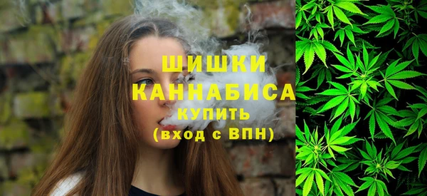 молекула духа Волосово