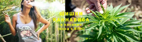 молекула духа Волосово