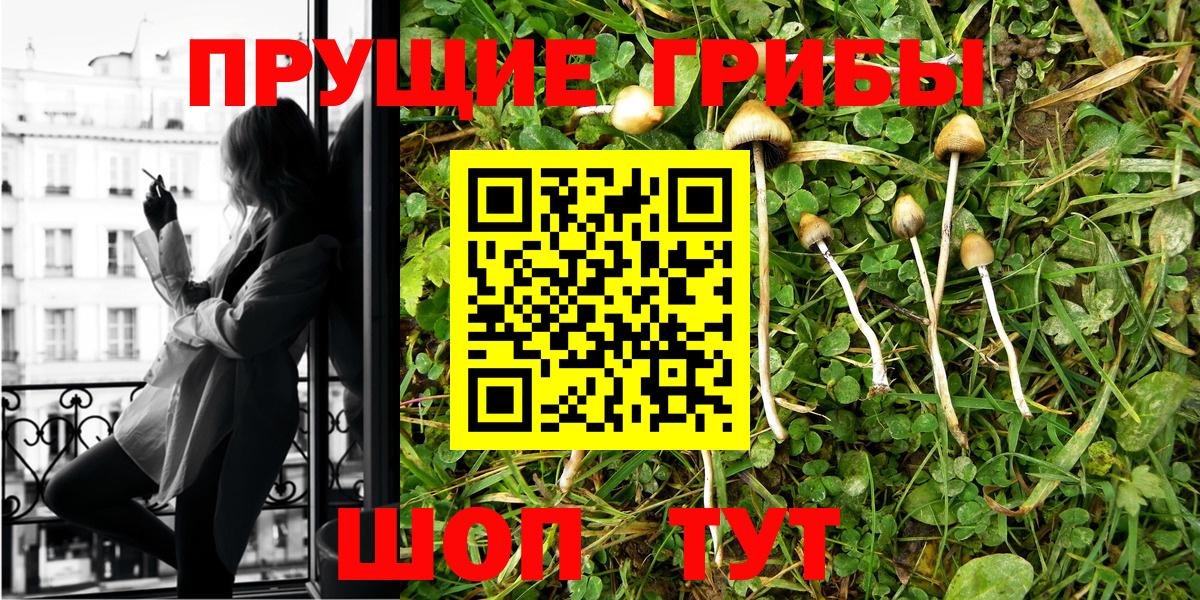 Галлюциногенные грибы Psilocybe  Вход с VPN  Мариинск  Псилоцибиновые грибы MAGIC MUSHROOMS 